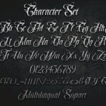 New Hawskin Font Poster 7