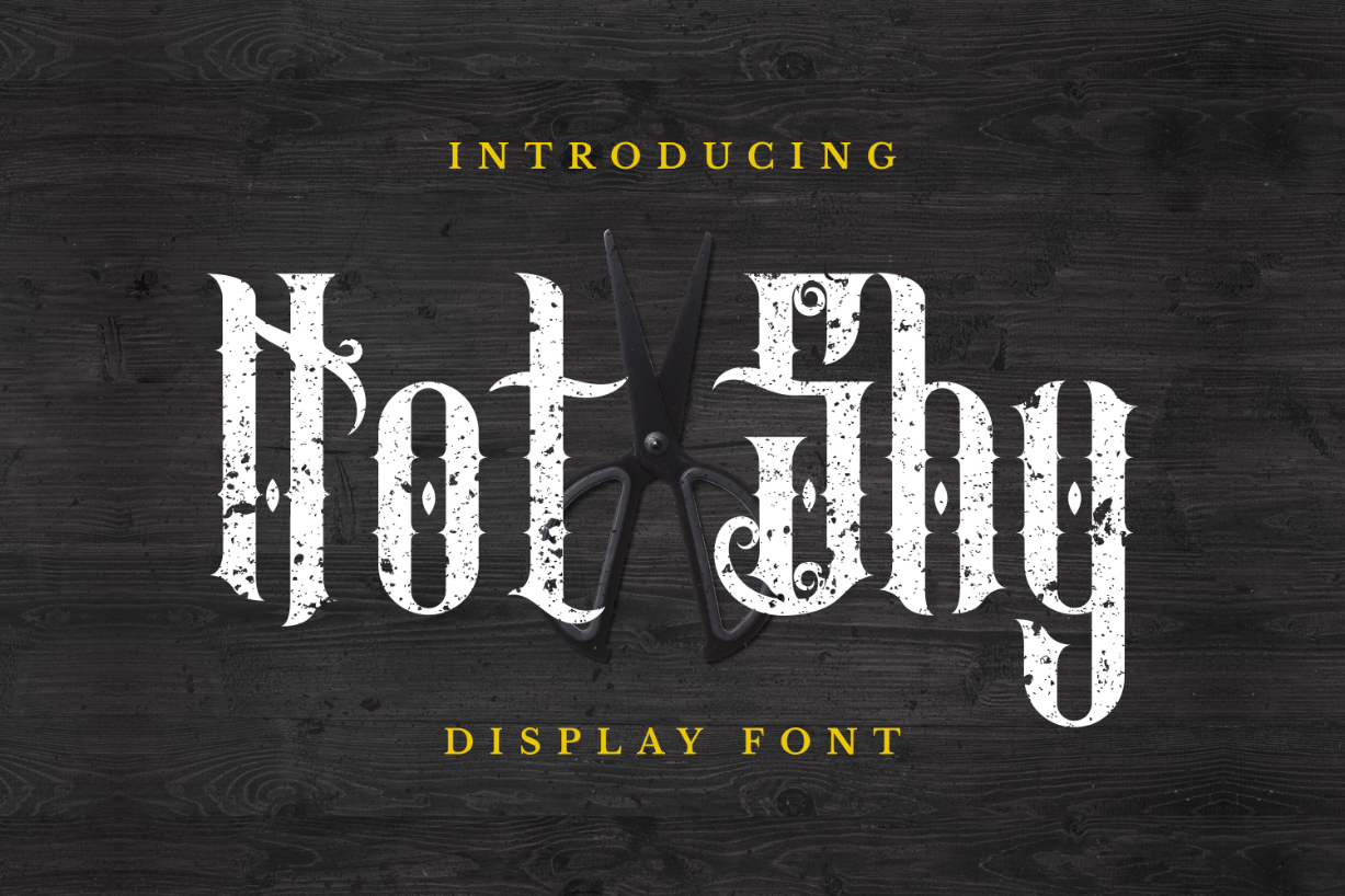 Not Shy Font