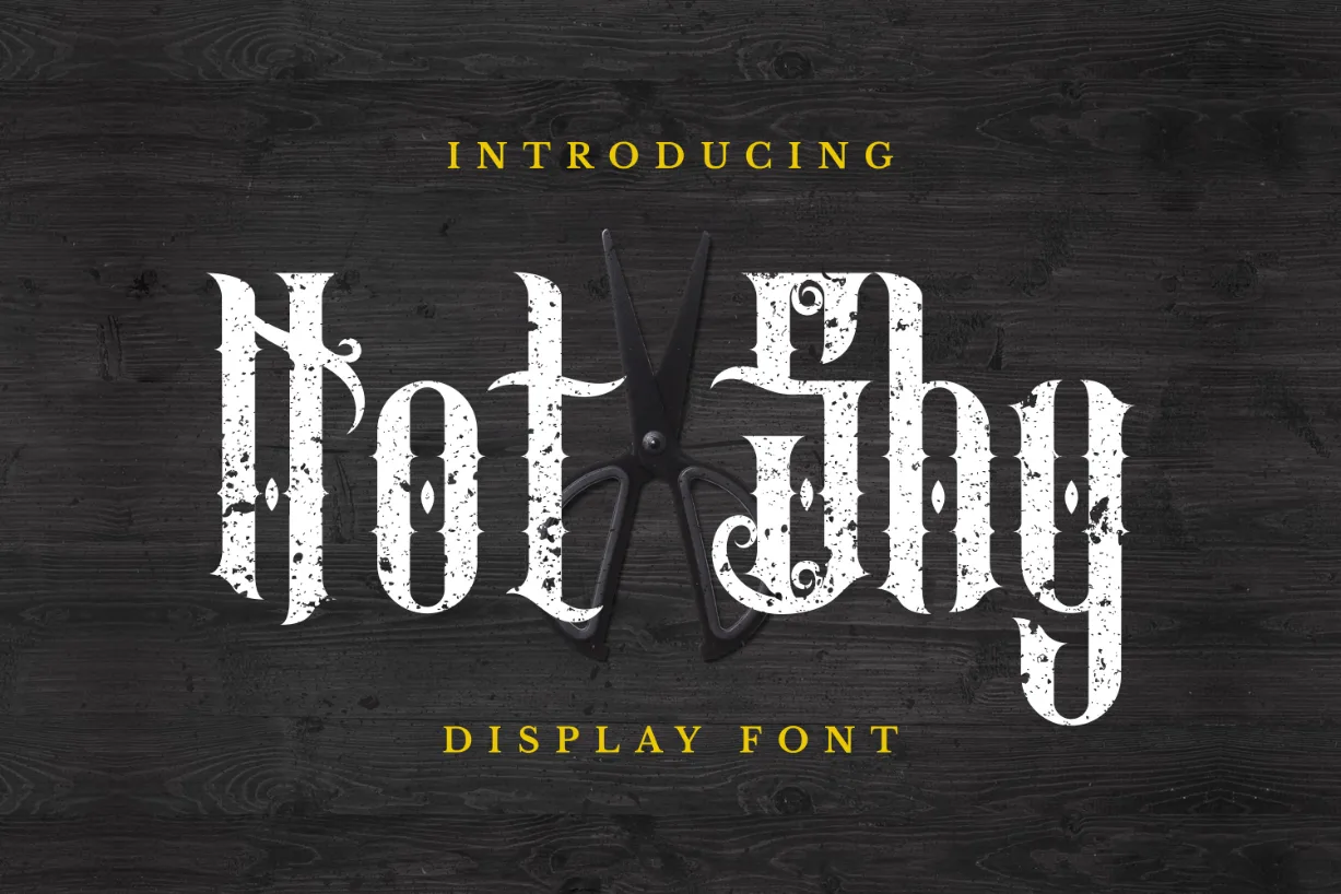 Not Shy Font Not Shy Font Poster 1