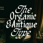 Organic Antique Font Poster 3