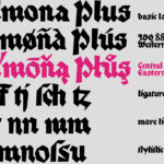 Palmona Plus Font Poster 8