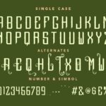 Quelline Font Poster 10