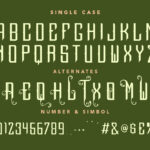 Quelline Font Poster 10