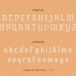 Sanusra Font Poster 4