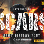 About Scars Font Poster 3