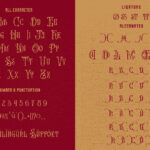Shockerous Font Poster 10