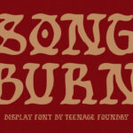 Tf Song Burn Font Poster 3