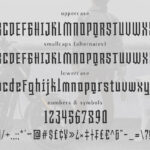 The Black Sugare Font Poster 10