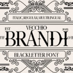 Vecchio Brandi Font Poster 3