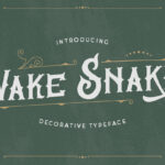 Wake Snake Font Poster 3