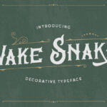 Wake Snake Font Poster 1