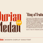 Wingstone Font Poster 5