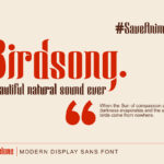 Wingstone Font Poster 6