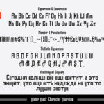 Winter Mask Font Poster 8
