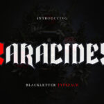 Zaracides Font Poster 3