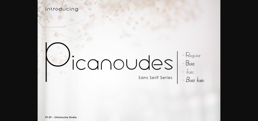 Picanoudes Font Poster 3