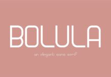 Bolula Font Poster 1