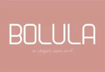 Bolula Font Poster 1