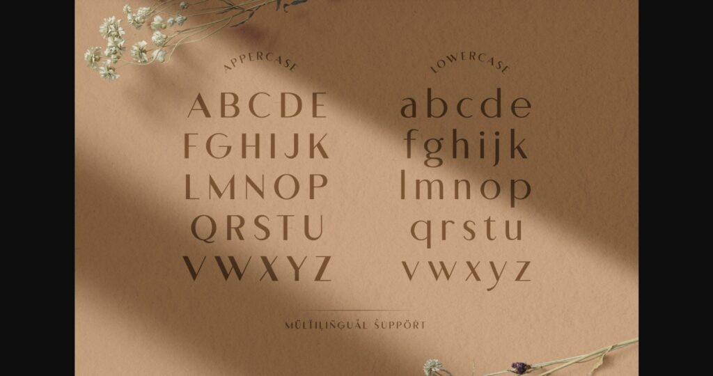 Abigral Font Poster 8