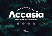 Accasia Font Poster 1