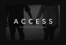 Access Font Poster 1