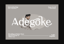 Adegoke Font Poster 1