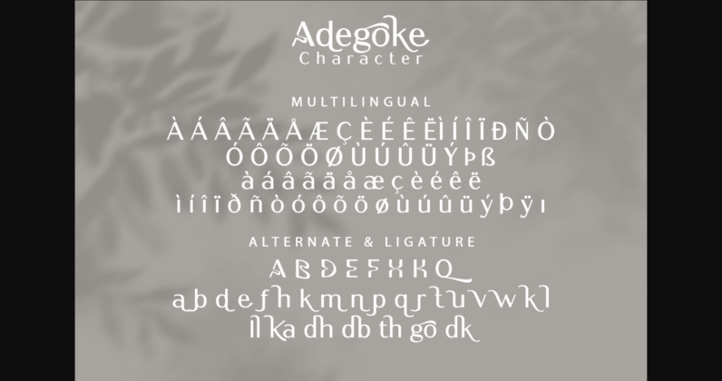 Adegoke Font Poster 10