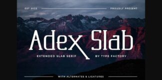 Adex Slab Poster 1