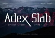 Adex Slab Fonts