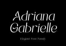Adrianna Gabrielle Font Poster 1