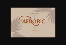 Aerobic Font Poster 1