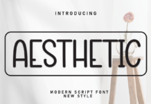 Aesthetic Font Poster 1