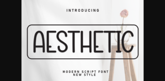 Aesthetic Font Poster 1