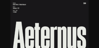 Aeternus Font Poster 1