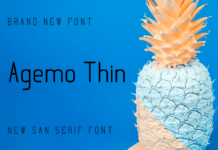 Agemo Thin Font Poster 1