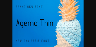 Agemo Thin Font Poster 1