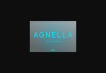 Agnella Bold Font Poster 1