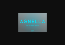 Agnella Extra Black Font Poster 1
