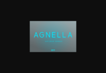 Agnella Semi-Bold Font Poster 1