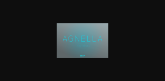 Agnella Thin Font Poster 1