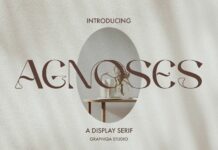 Agnoses Poster 1