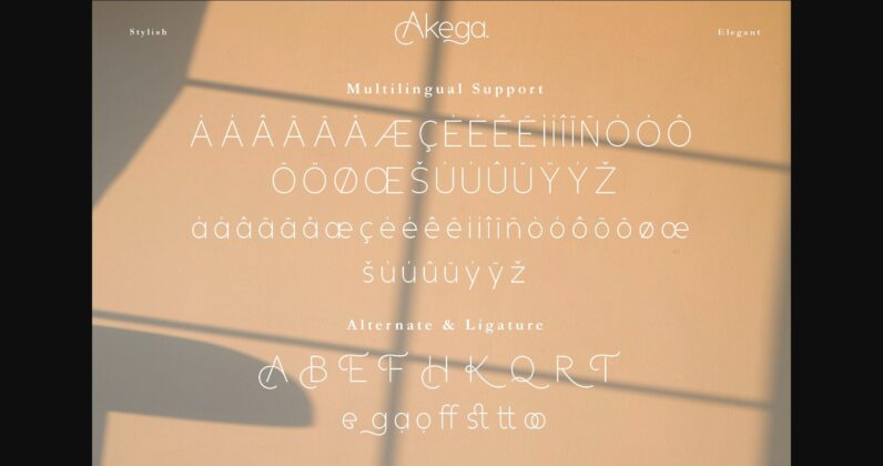 Akega Duo Font Poster 10