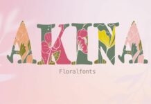 Akina Font Poster 1