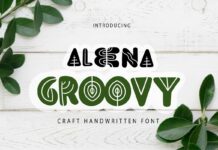 Aleena Groovy Font Poster 1