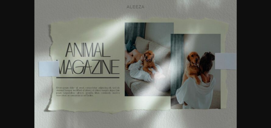 Aleeza Font Poster 8