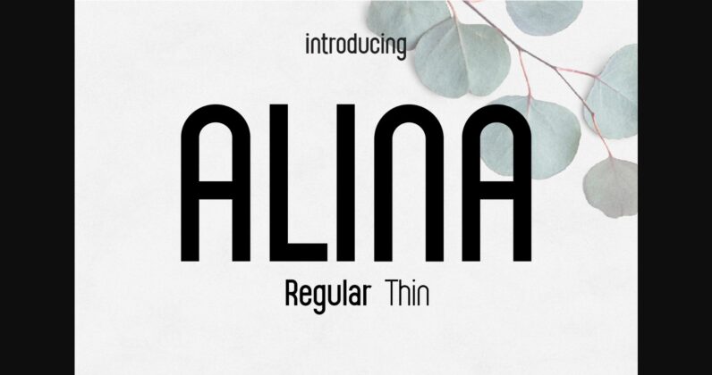 Alina Font Poster 3