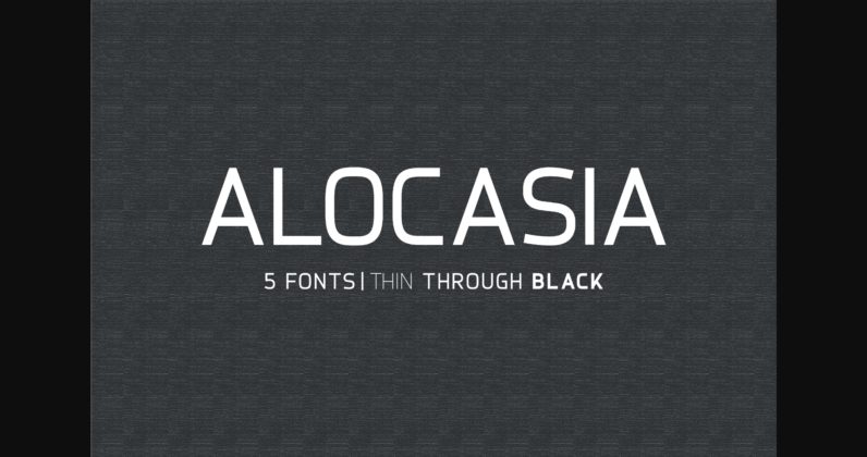 Alocasia Font Poster 3