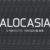 Alocasia Font