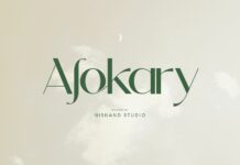 Alokary Font Poster 1