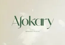 Alokary Font Alokary Font Poster 1